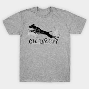 Dock Diving Dog Swimming Dog T-Shirt